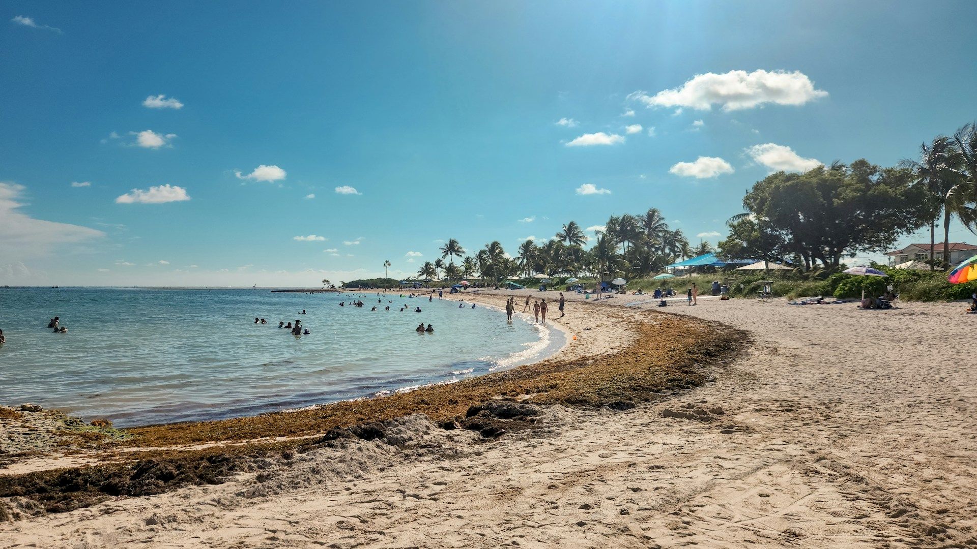 A sandy beach with palm trees, people swimming and sunbathing, clear blue sky, and gentle waves under the sun.