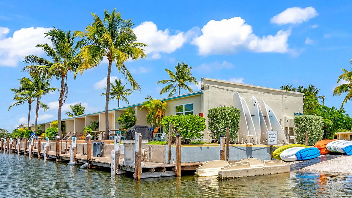 A waterfront scene with palm trees, a building, docks, and kayaks by the shore. The sky is clear with a few clouds above, creating a serene view.