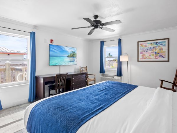 A hotel room with a bed, blue decor, desk, chairs, TV, ceiling fan, artwork, and windows providing a view of outside structures.