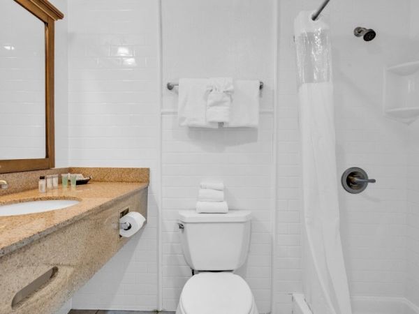 A clean bathroom with a sink, mirror, toilet, and shower curtain. Towels are neatly arranged on the rack and counter.