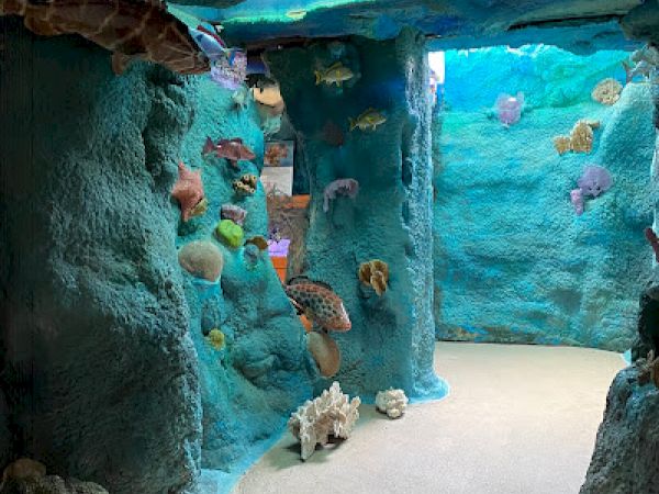 A hallway designed to look like an underwater scene with blue walls, marine animals, and corals for a themed experience.