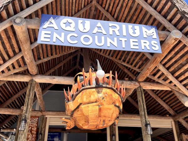 The image shows the entrance of a place called "Aquarium Encounters" with a wooden structure and a decorative fish hanging outside.