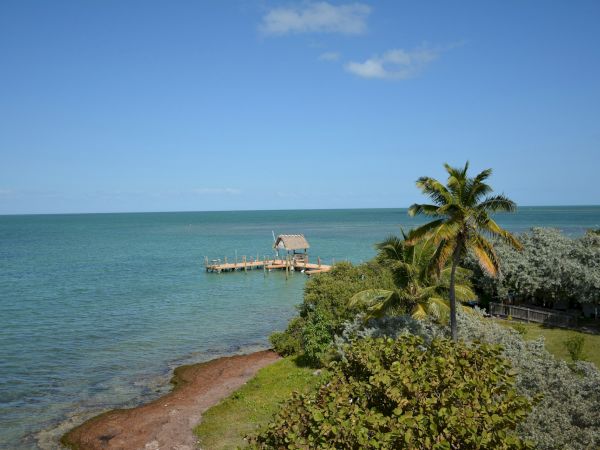 A serene coastal scene with a small dock, lush greenery, palm trees, and a clear blue sky above the calm sea waters.