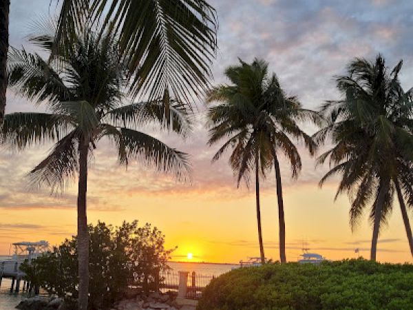 A tropical beach scene with palm trees, sand, and a vibrant sunset over the ocean, creating a serene and picturesque atmosphere.