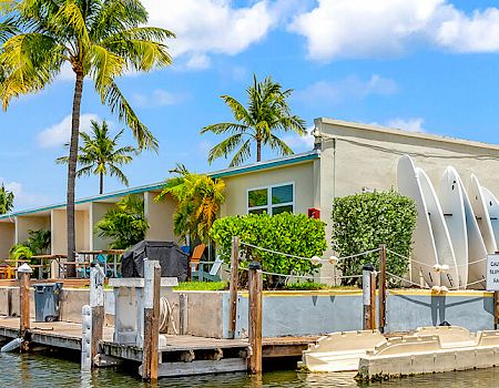 The image shows a waterfront area with palm trees, a dock, a building, and colorful kayaks, under a clear blue sky.