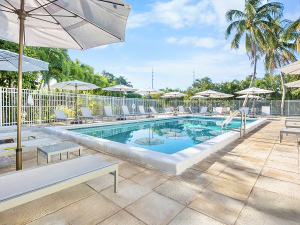 A pool with lounge chairs and umbrellas sits under a sunny sky, surrounded by tropical palm trees and a white fence.