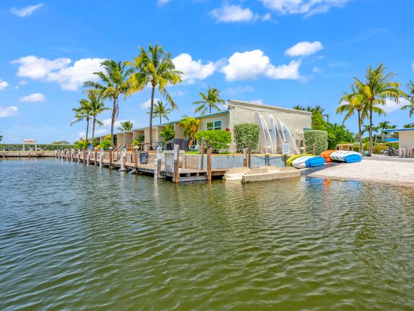A waterfront scene with palm trees, boats on a dock, and a building; a bright blue sky and calm water complete the view.