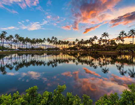 A serene landscape with palm trees reflecting in a calm body of water, under a colorful sky with vibrant clouds at sunset.