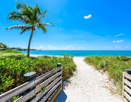 A sandy beach path leads to the ocean under a clear blue sky, bordered by greenery and a palm tree on the left.