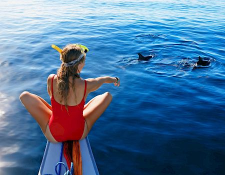 A person in a red swimsuit sits on a boat, pointing at two dolphins swimming in calm blue water.