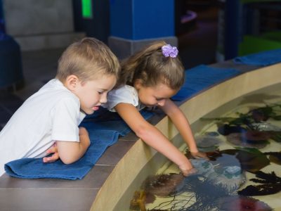 Aquarium Encounters touch tank